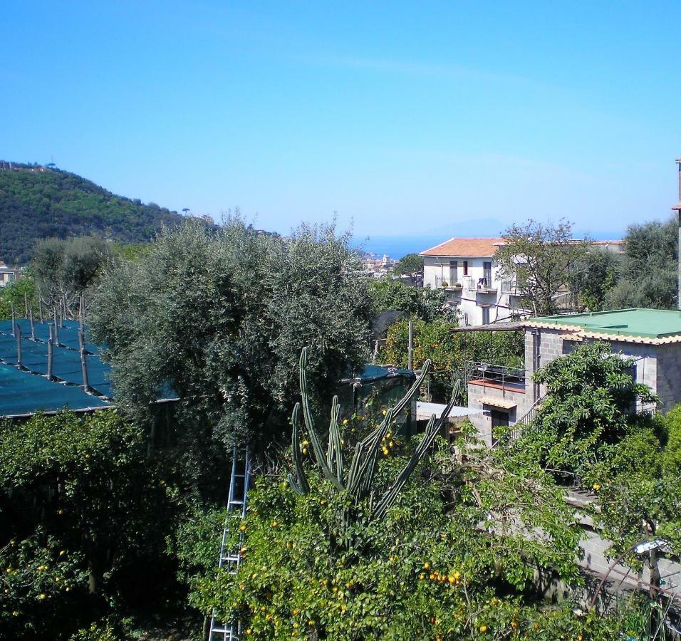 Itaca B&B Пьяно-ди-Сорренто Экстерьер фото